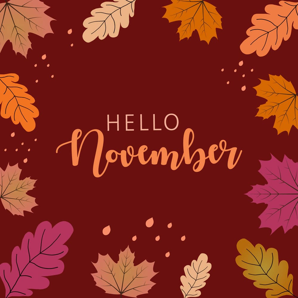 Hello November